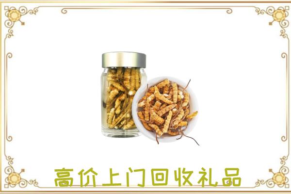 夏河周边回收虫草